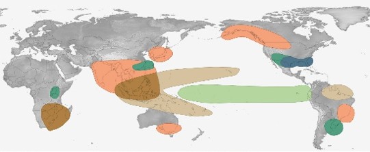 El Nino Impact