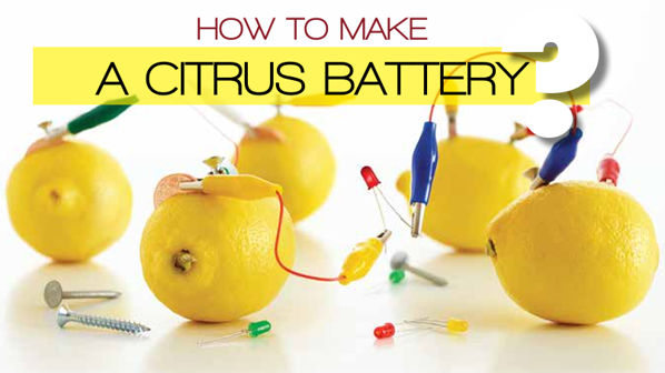 How to Make A Citrus Battery