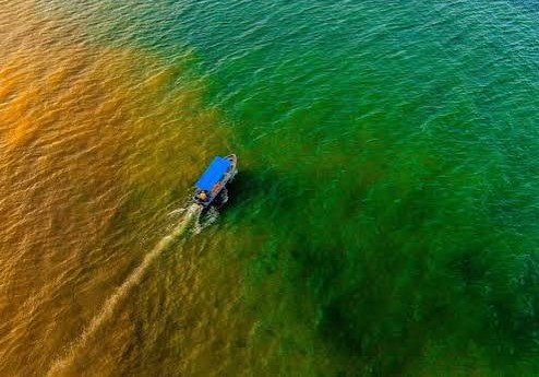 ISRO Detects Declining Pacific Marine Productivity