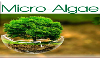 Magic of Micro Algae